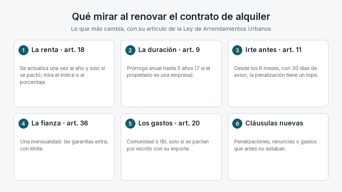 Resumen de qué mirar al renovar el alquiler: la renta (artículo 18), la duración (artículo 9), irte antes (artículo 11), la fianza (artículo 36), los gastos (artículo 20) y las cláusulas nuevas.